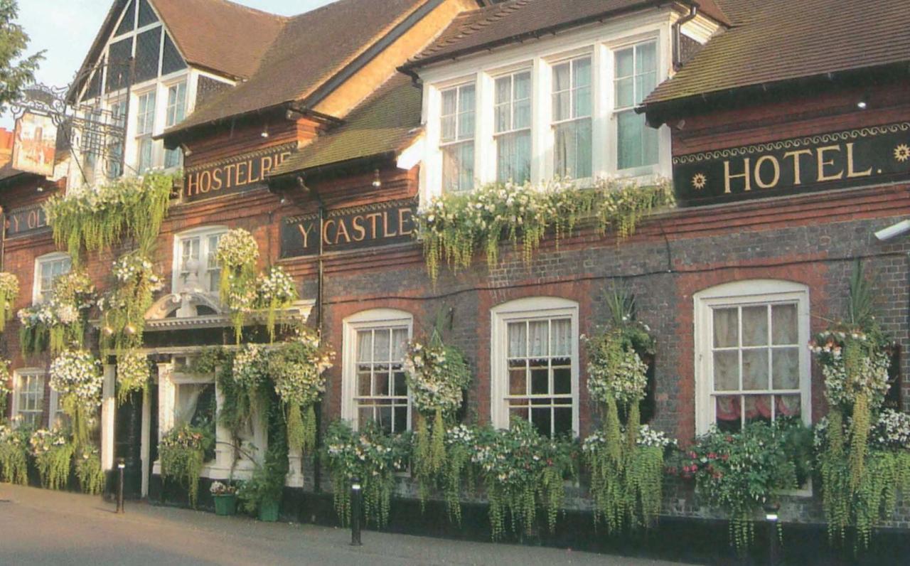 The Castle Inn Hotel Steyning Bagian luar foto